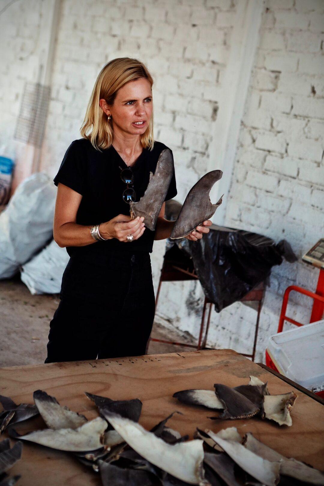 Investigating shark fin trade